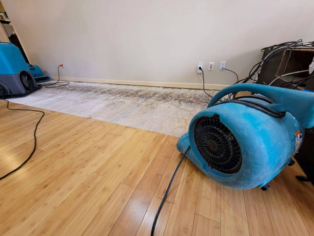Professional Sewage Cleanup technician working in Three Rivers, TX